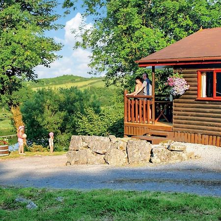 Garnffrwd Park Hotel Llanddarog Kültér fotó