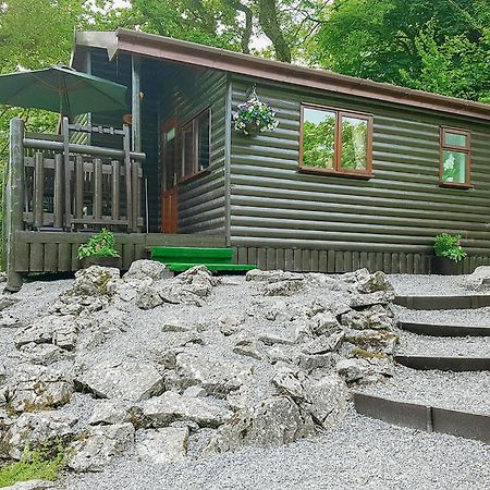 Garnffrwd Park Hotel Llanddarog Kültér fotó