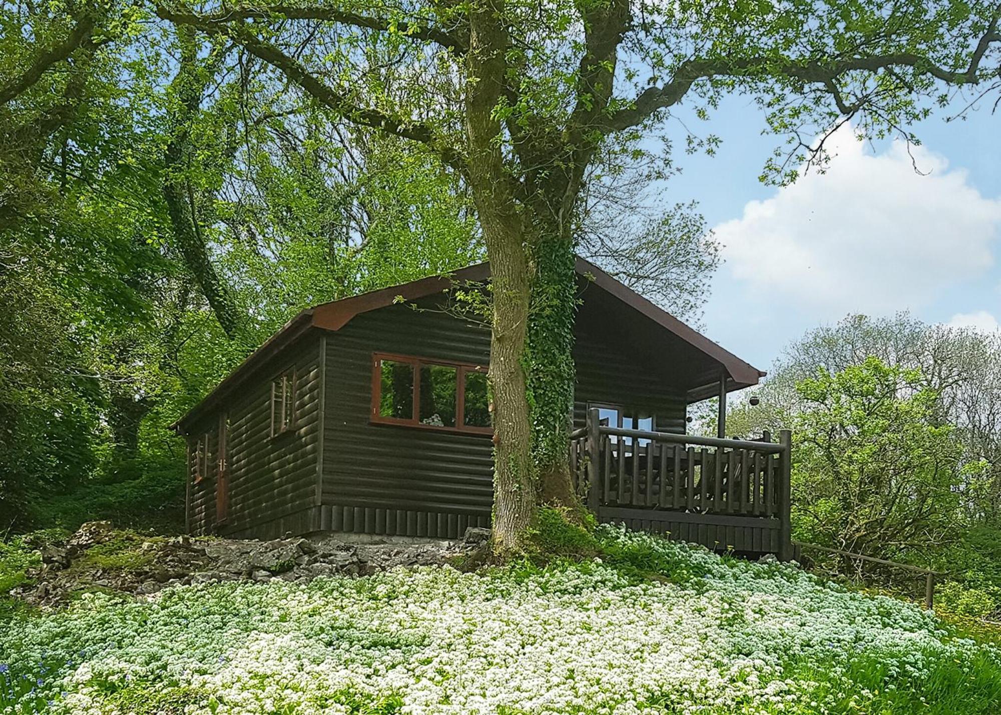 Garnffrwd Park Hotel Llanddarog Szoba fotó
