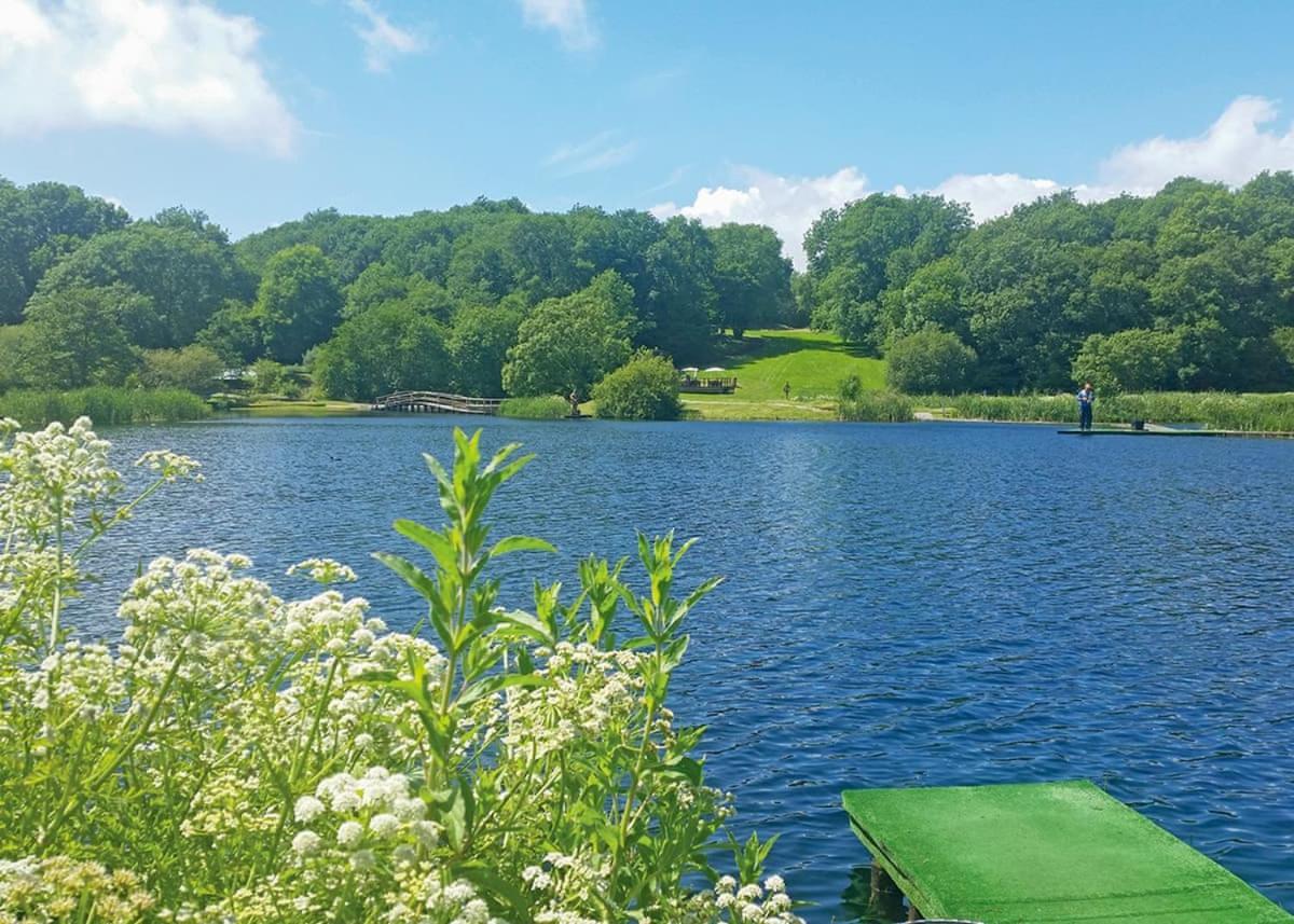 Garnffrwd Park Hotel Llanddarog Kültér fotó
